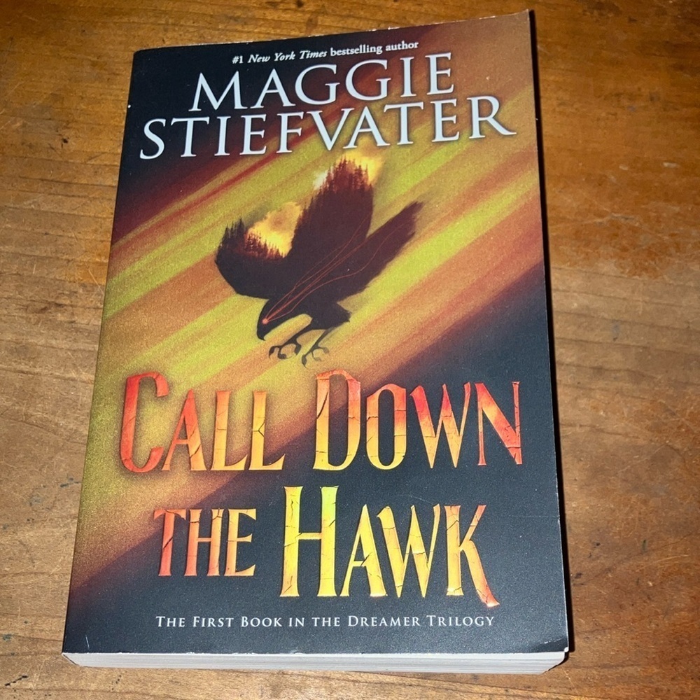 Call Down the Hawk: Book one of the Dreamer Trilogy by Maggie Stiefvater